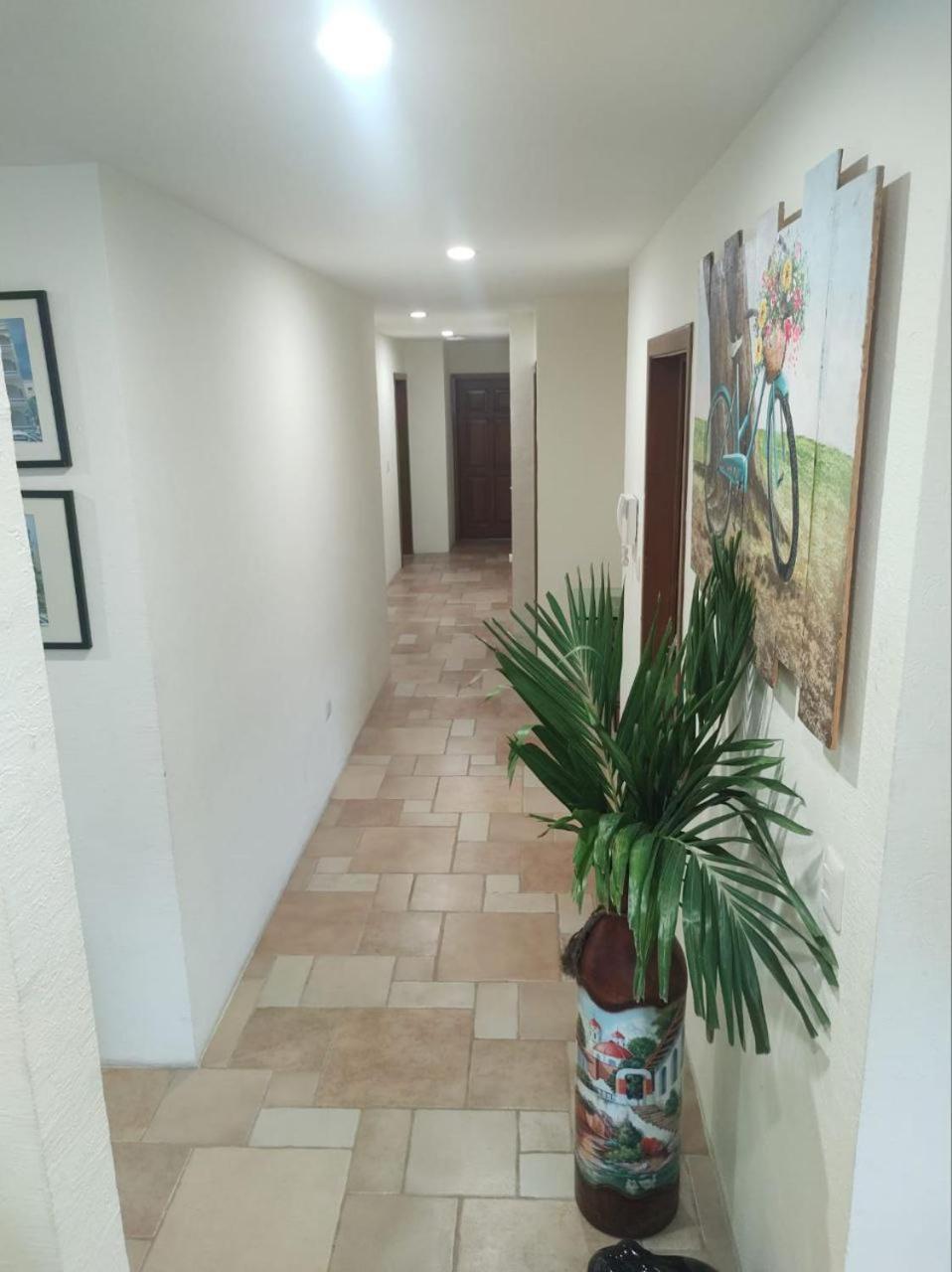 Hotel Ave Fenix And
